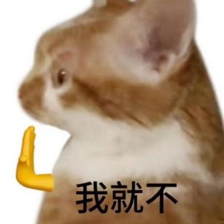 小野岚