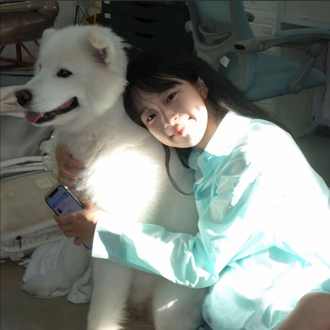 大牛🐮