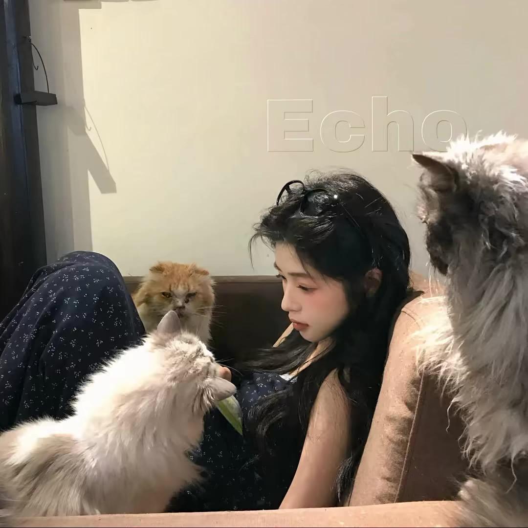 叫我小董