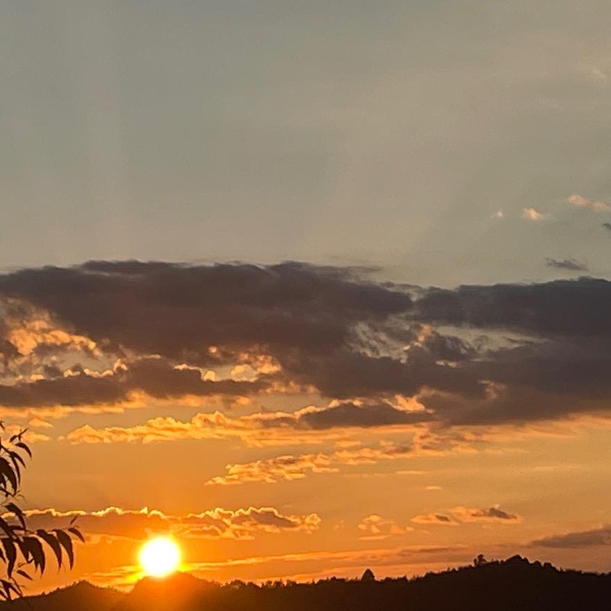 🧚🏻‍♂️🌱