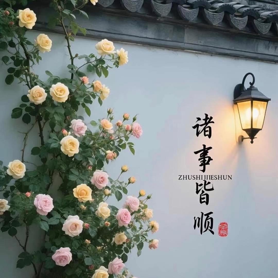 元宝团子🍡