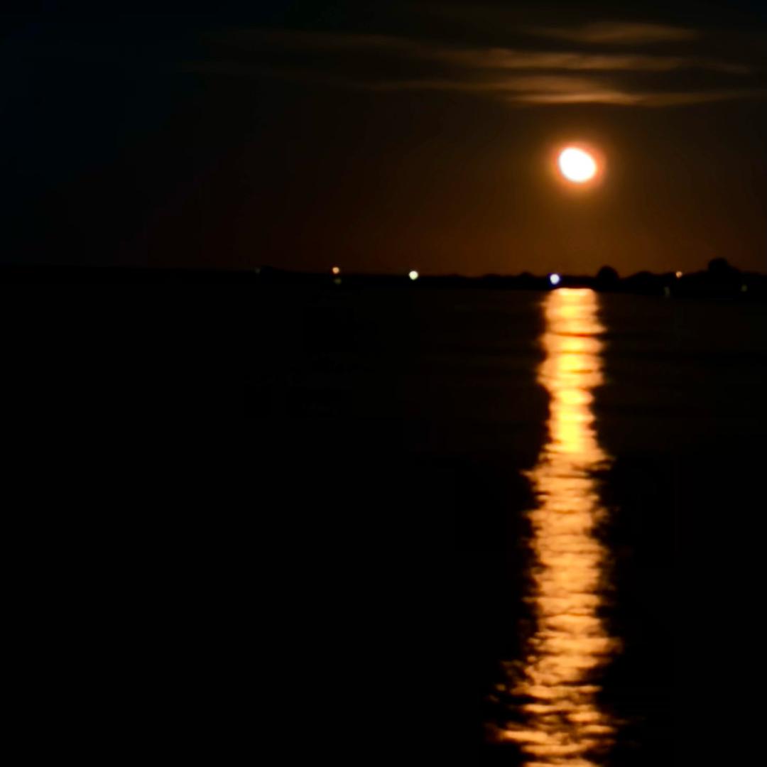 悦来悦好悦来悦好