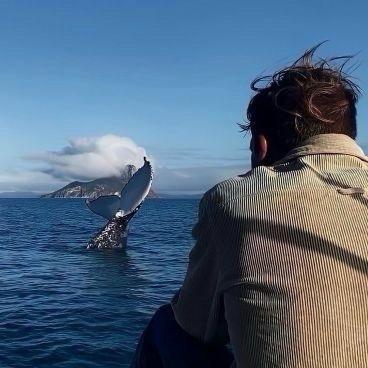 巴中旅行家联盟-001