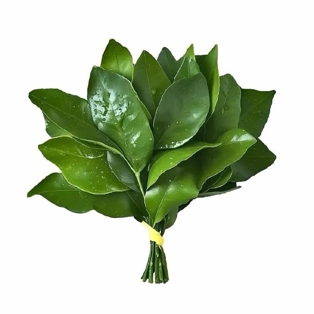 没什么意思.