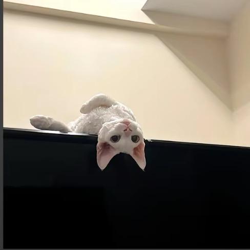 寄予心心心心心心心