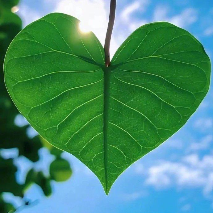 安丘汇源(和润易购）