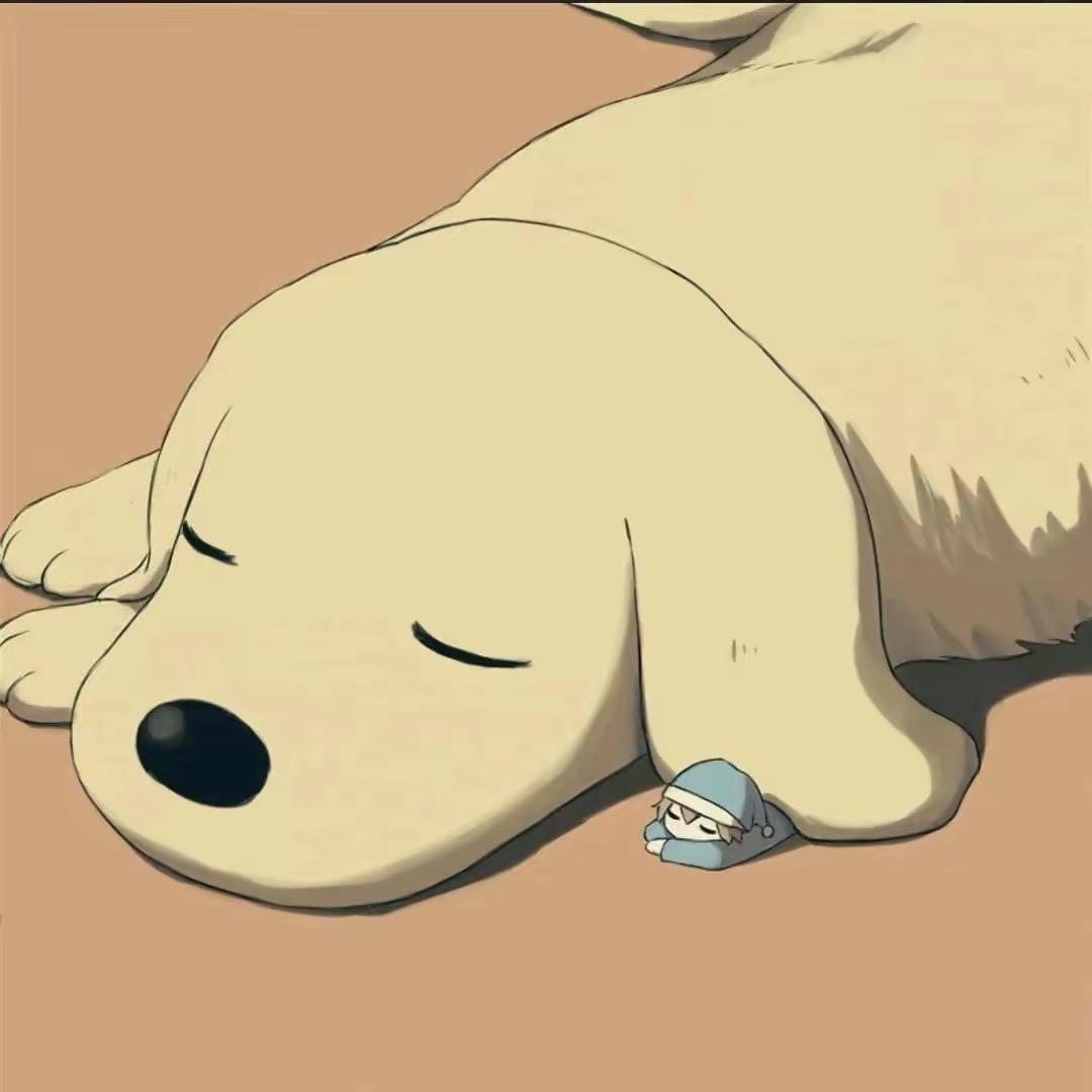 小橙子优选