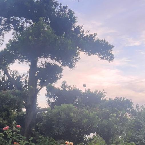 70后老阿姨