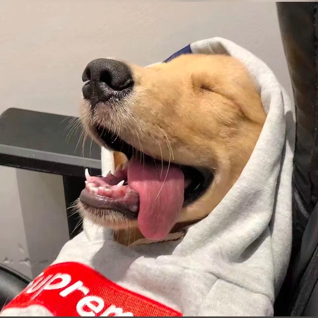 太空人🧑‍🚀