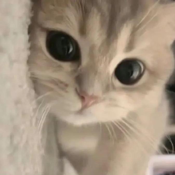 对味