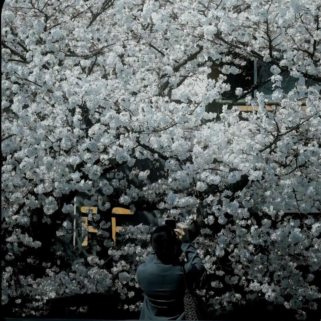 小助手