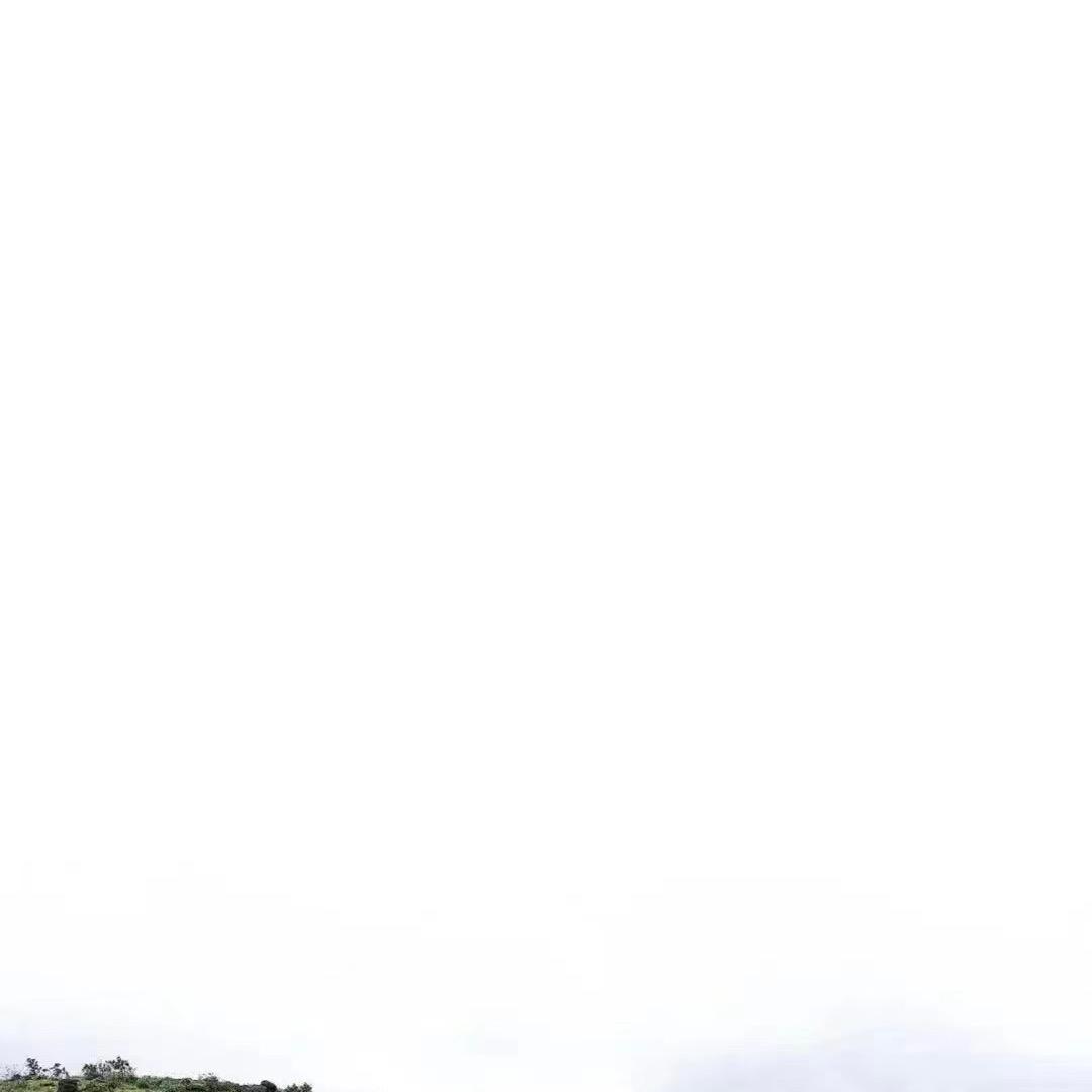 安娜飞梭