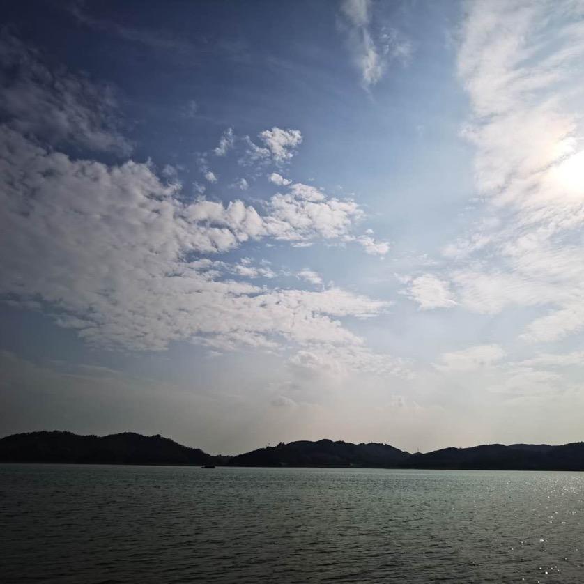 王小阳