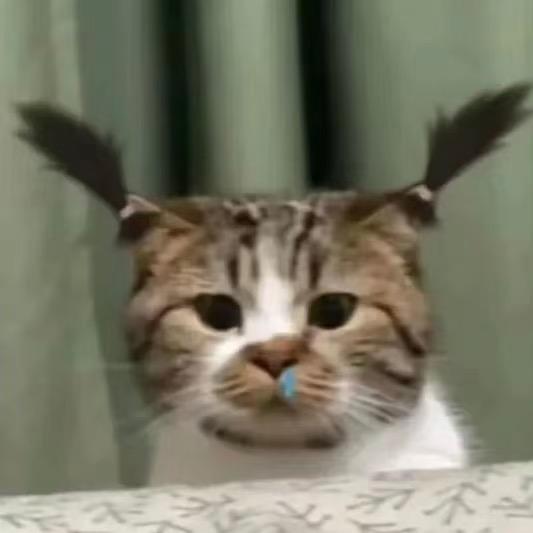 恋冬