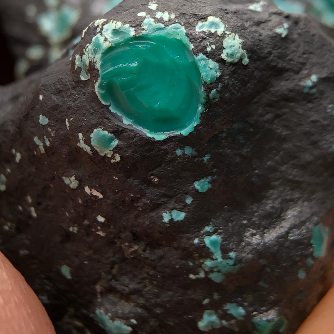 和天下，赵老五