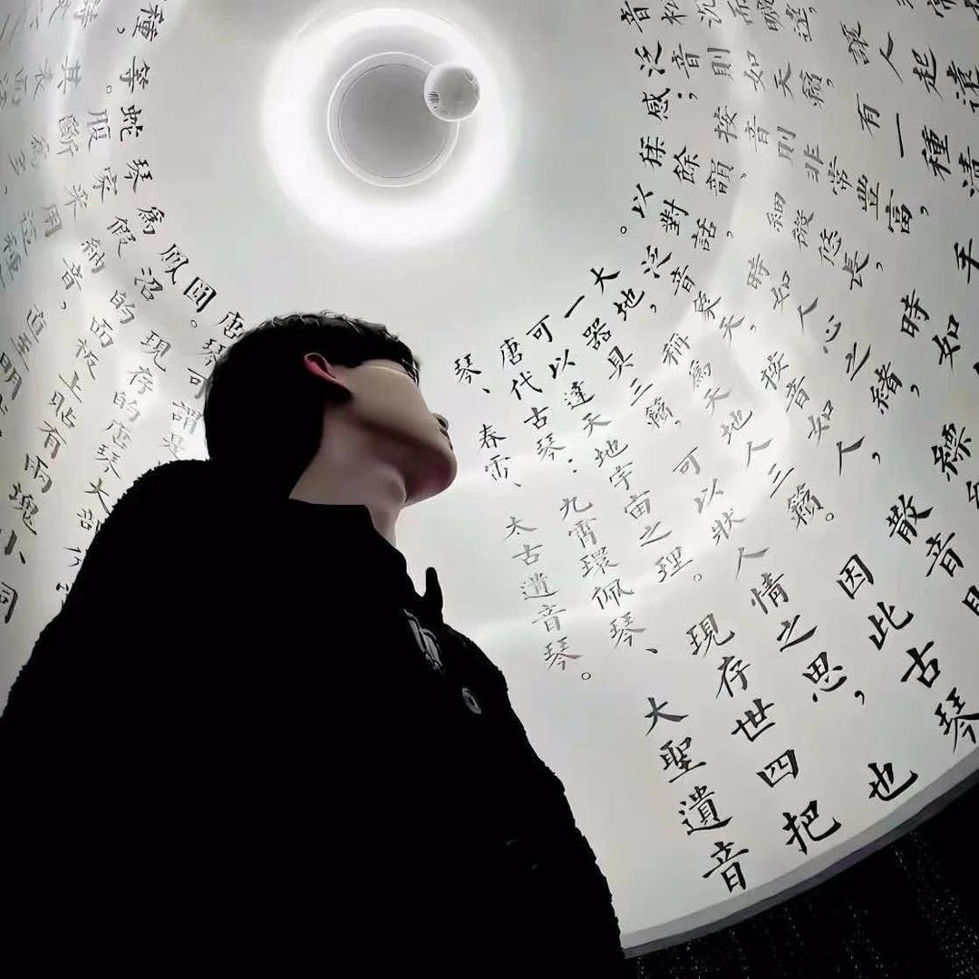 西直门三太子🐼