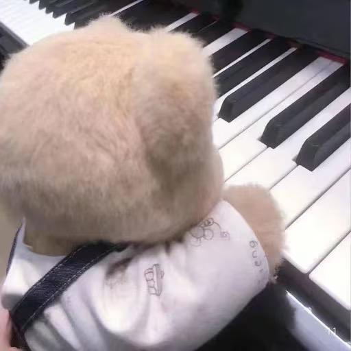 沈娇娇