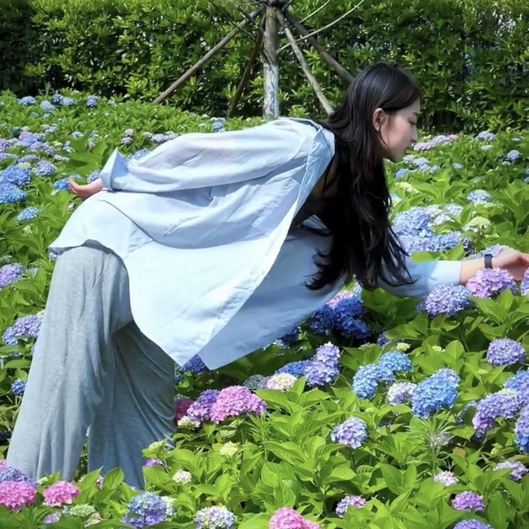 家庭园艺小知识