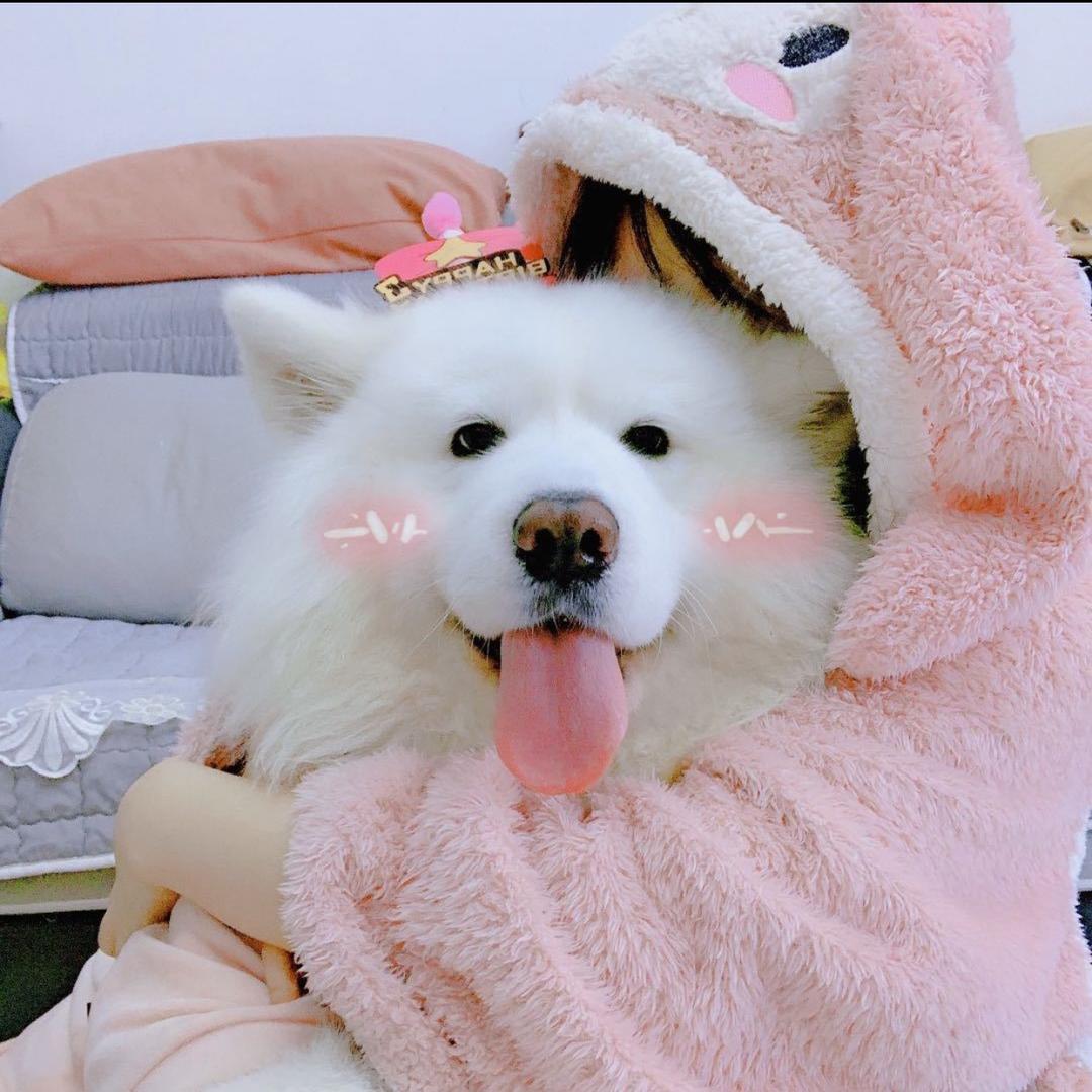 张么么呀