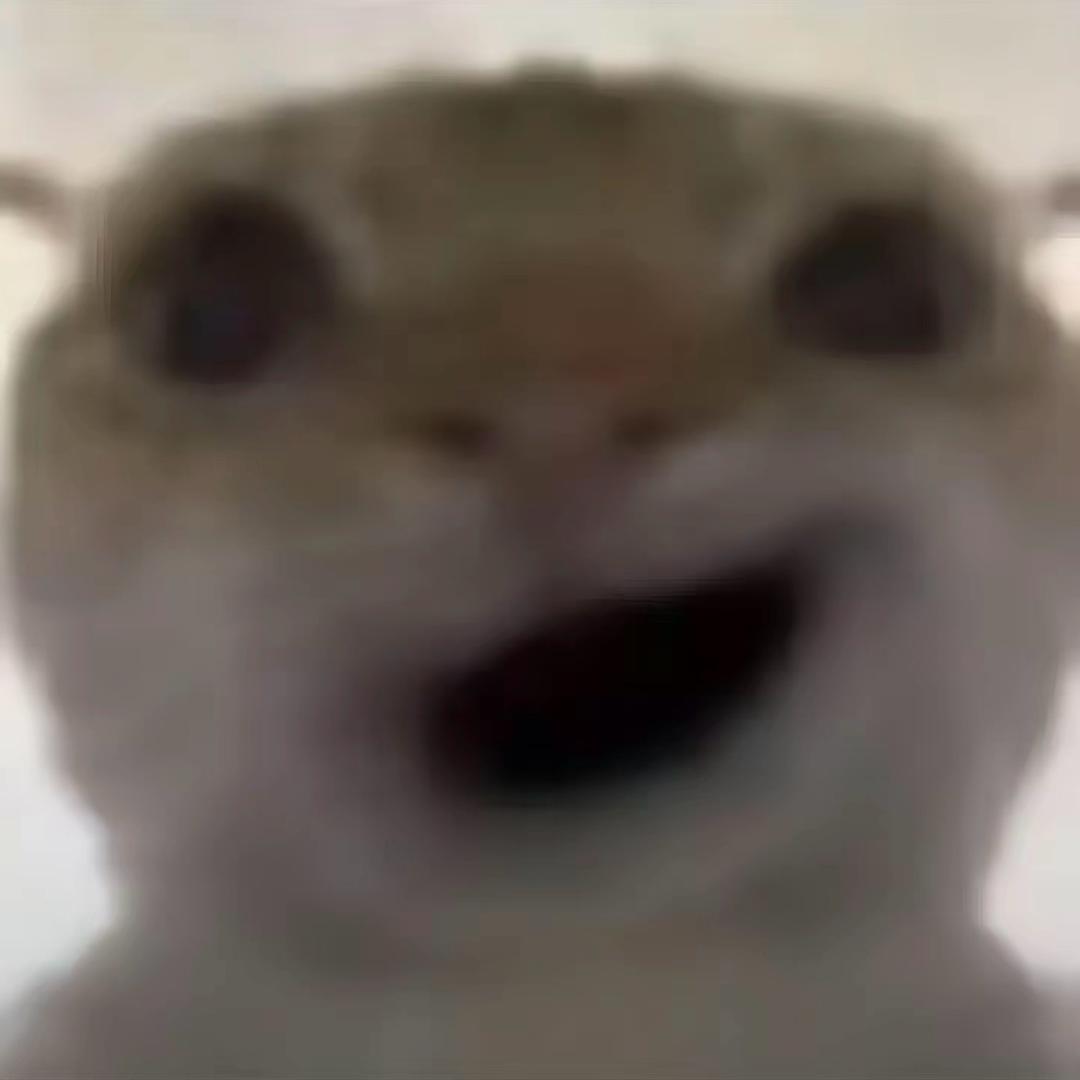 蟹黄菠萝包（跑刀鼠）