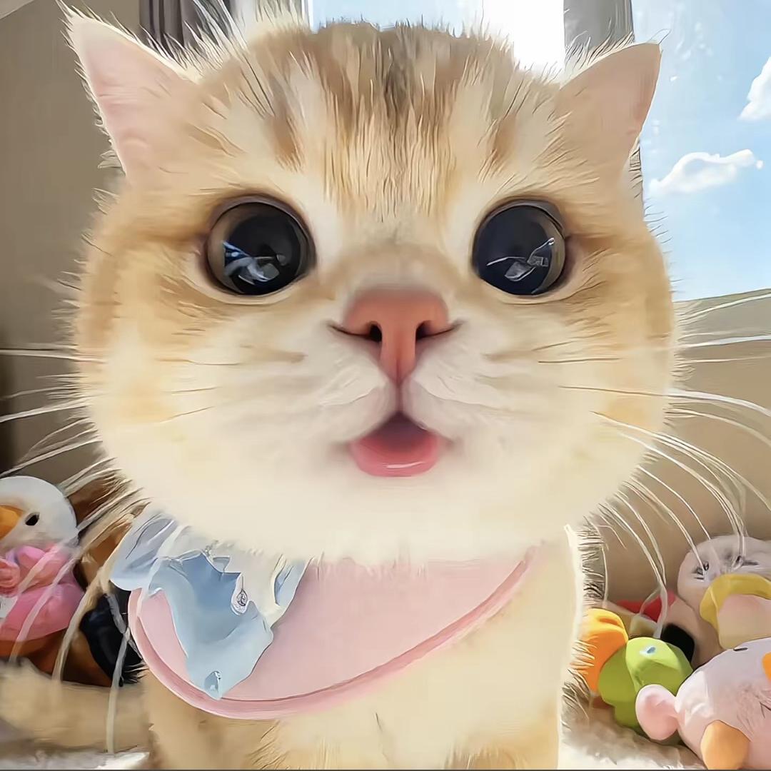 小鹌鹑