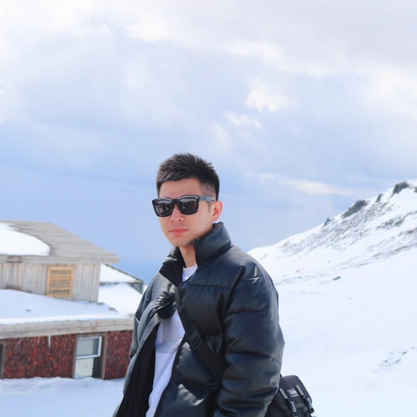 追寻家族拉布拉多