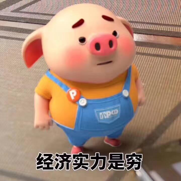 刹那芳华🐰²²³