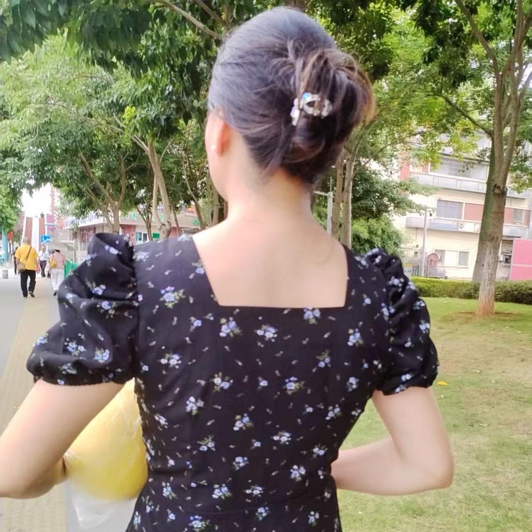 洋羊
