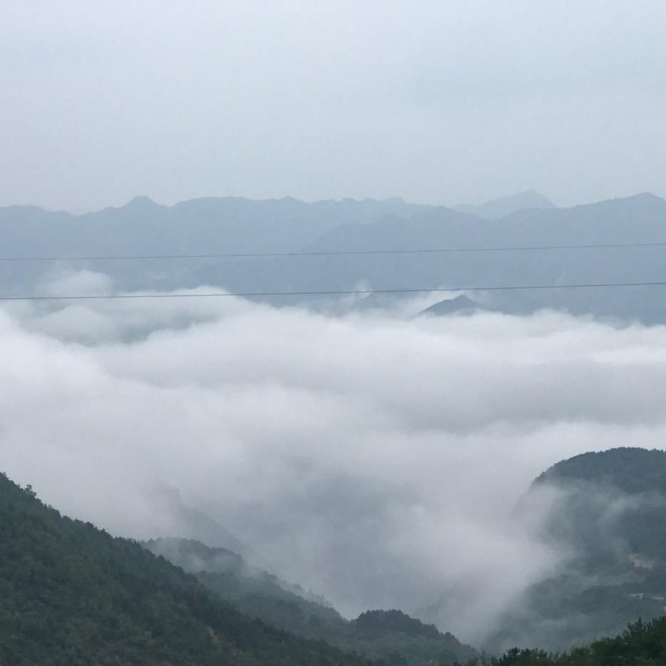 …念…