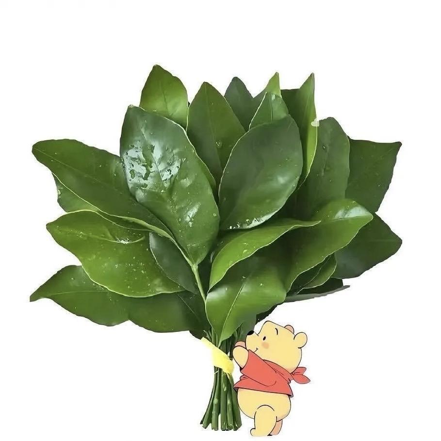 Li
