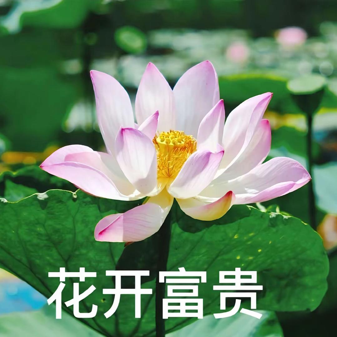 古法世家精选店