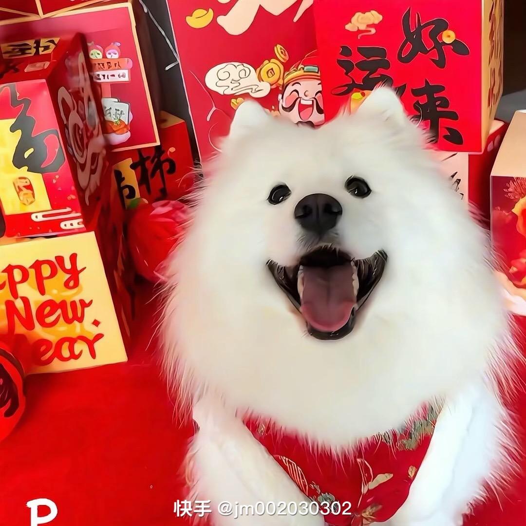 丫丫！❤️