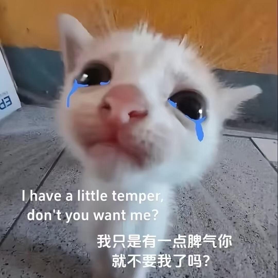 鼠儿这个呆