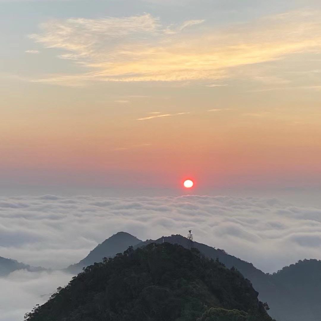 昨晚给抓十三张带黑3