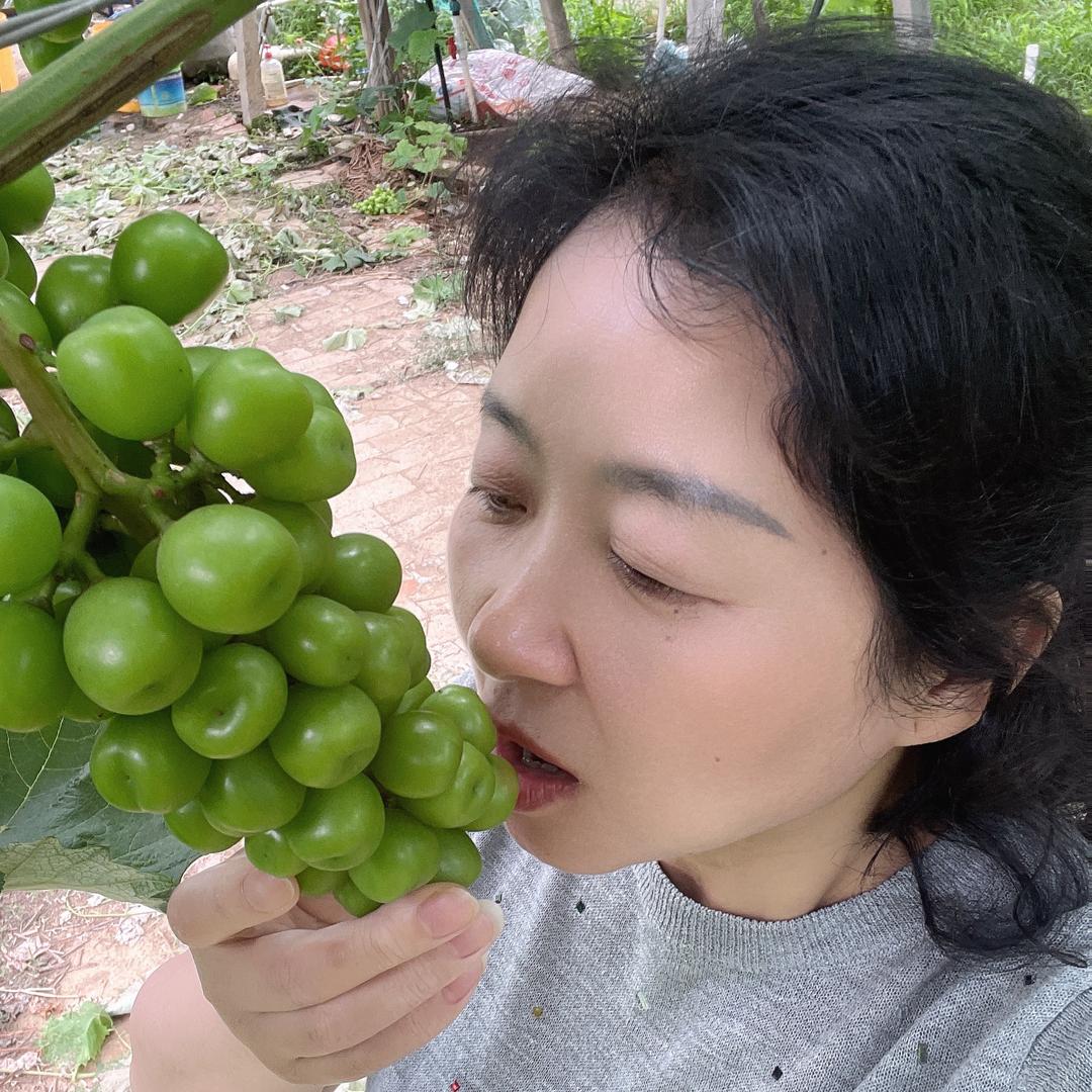 董姐