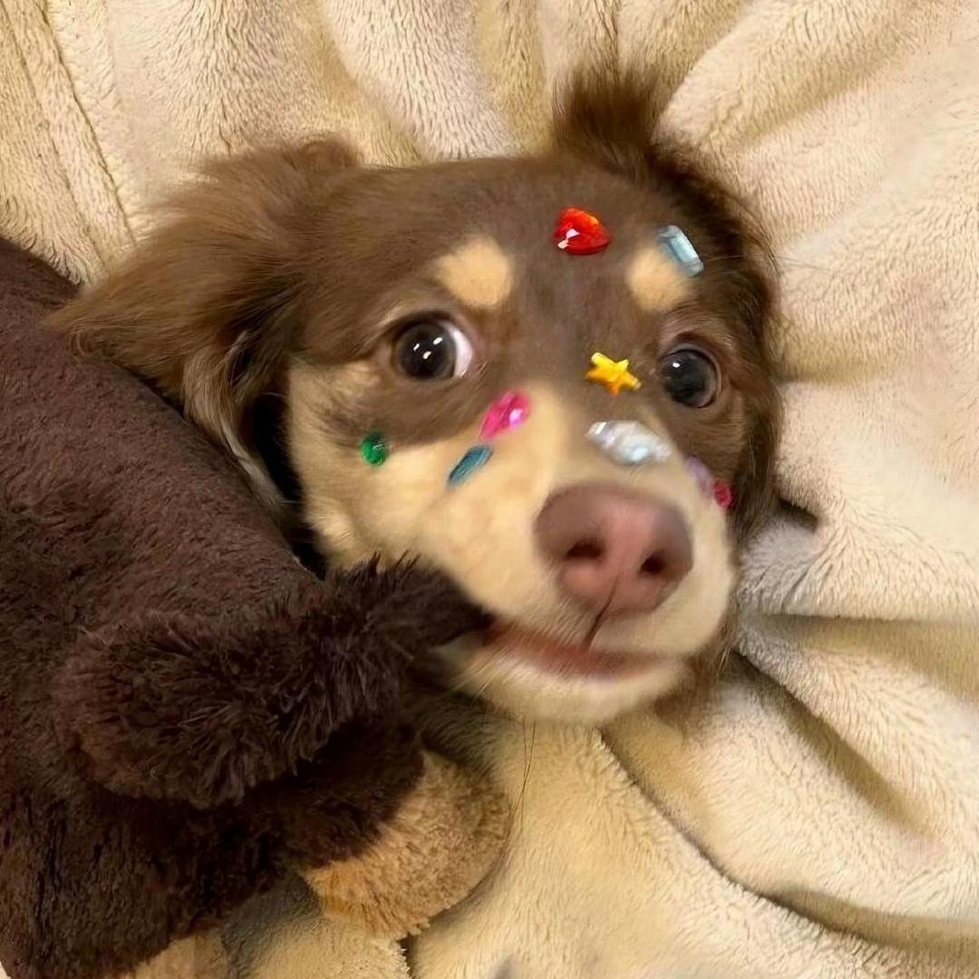 Yᝰ