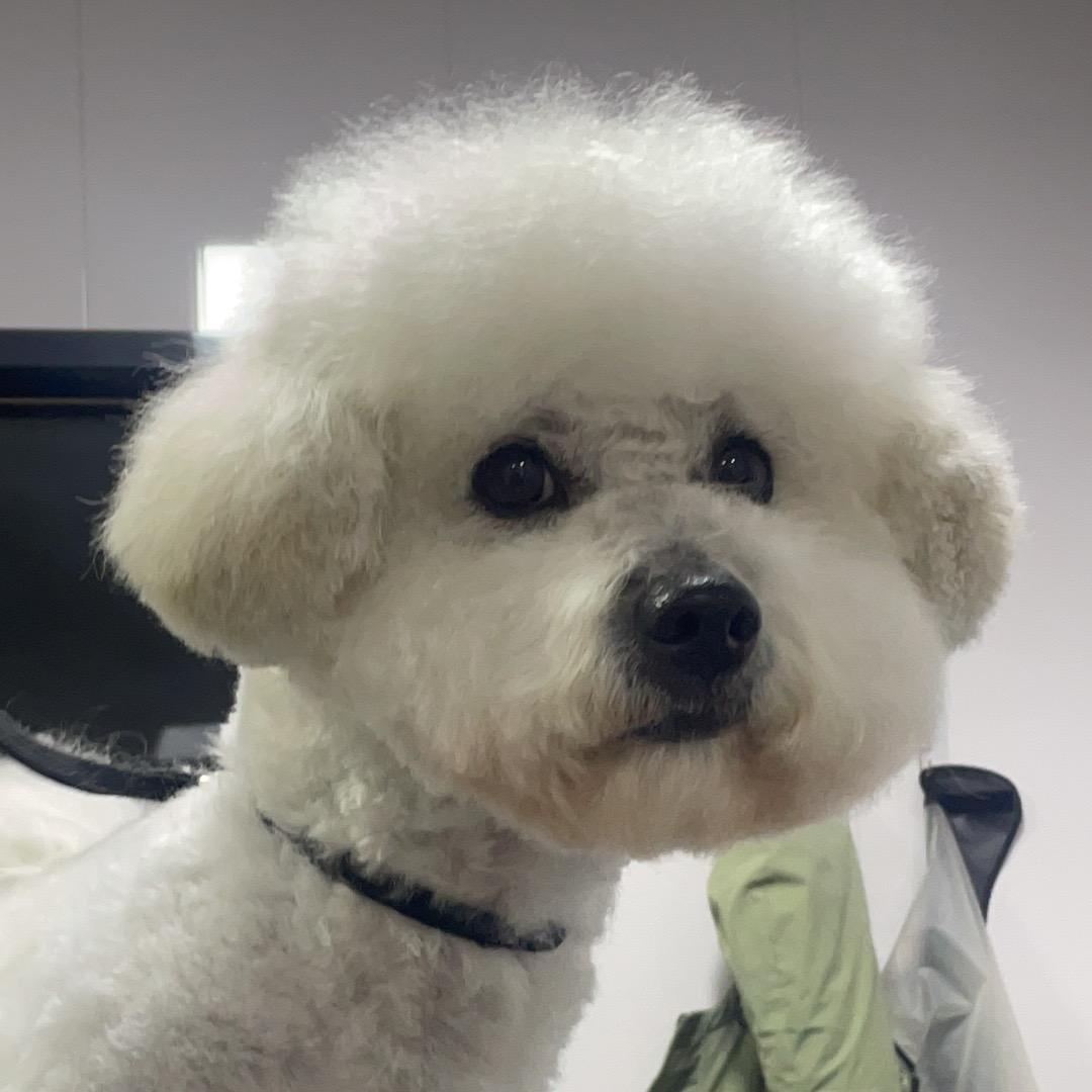 桂圆的幸福生活