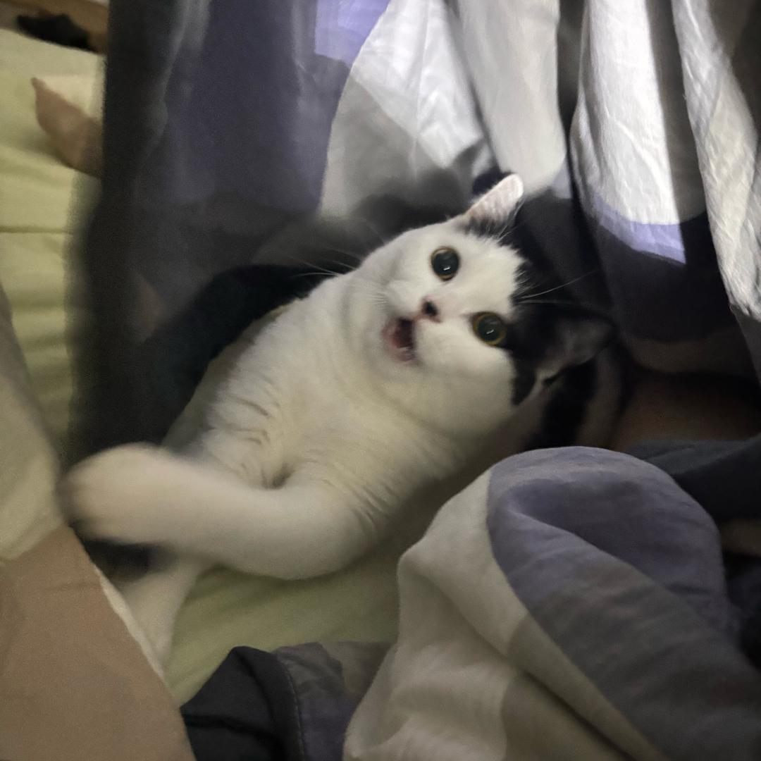 下班头像
