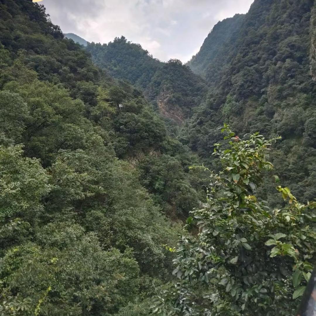 各自安好