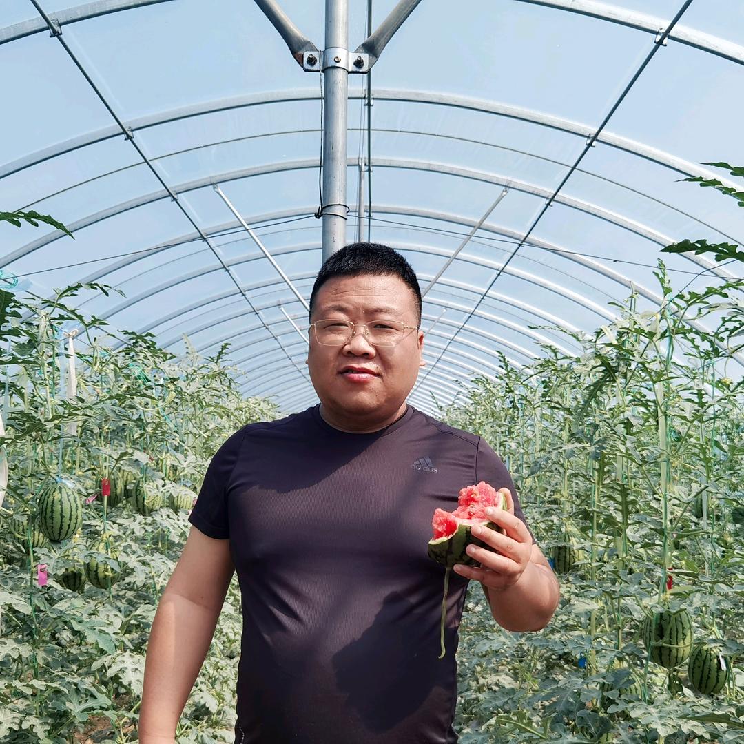 蒲小胖®