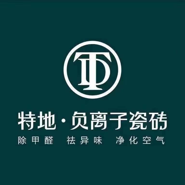 特地·负离子瓷砖(巩义店)