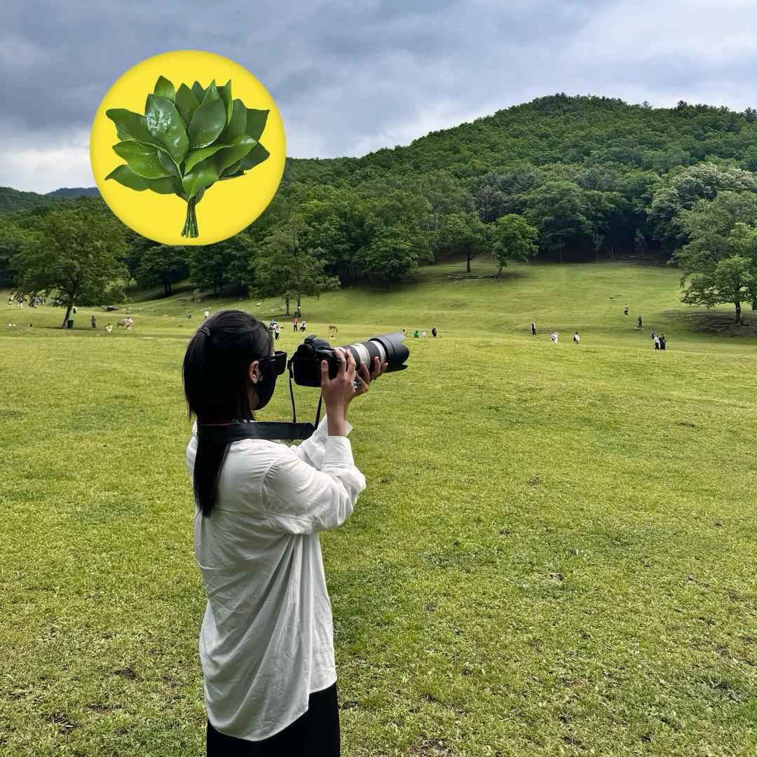 小西贝