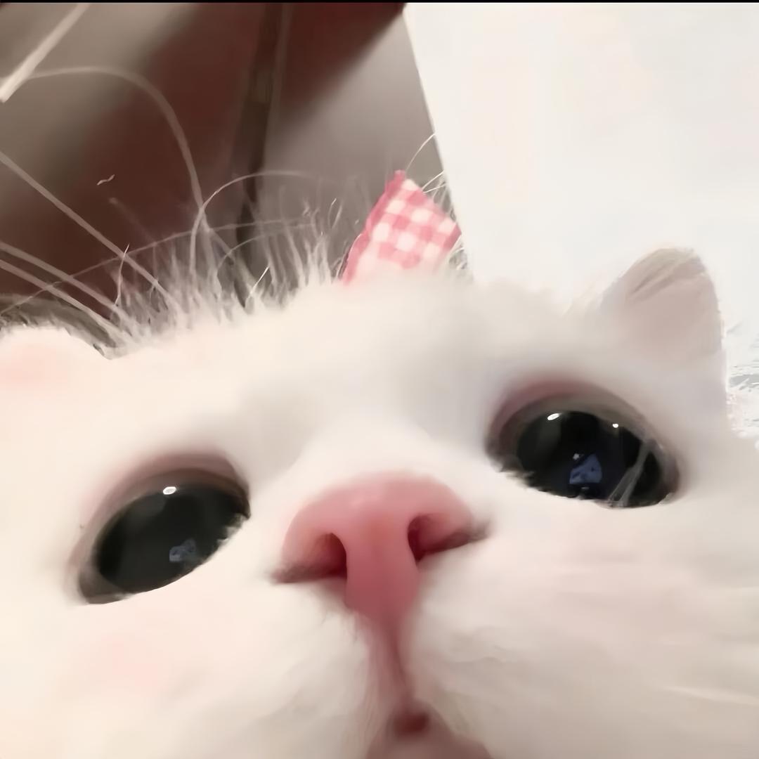 小迪_