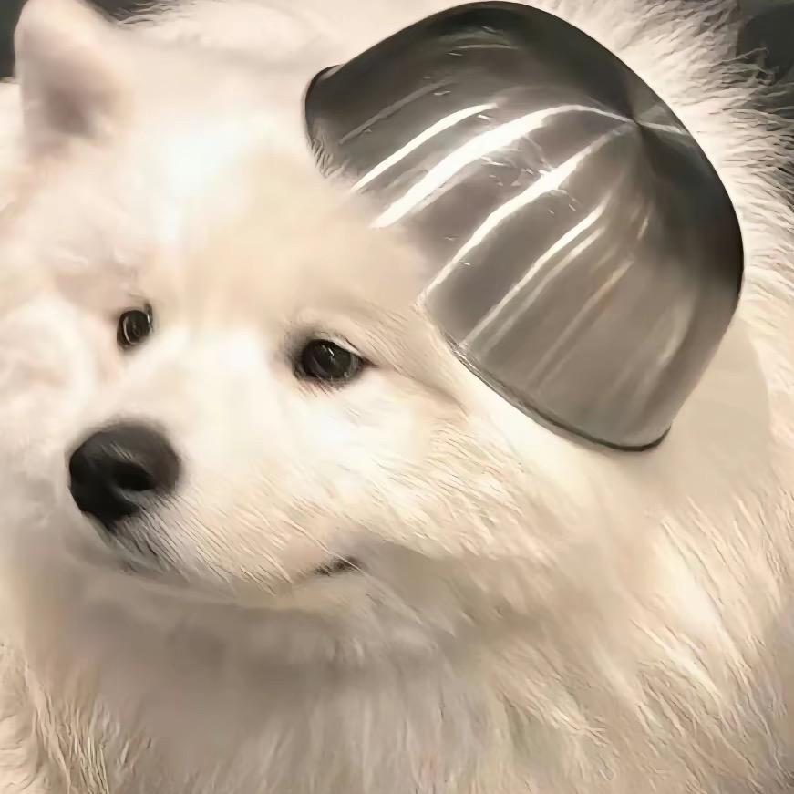 宠道宠物官方号