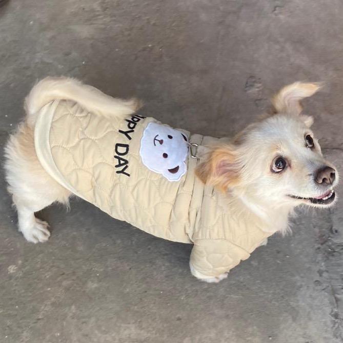 威尔逊·爱德华兹