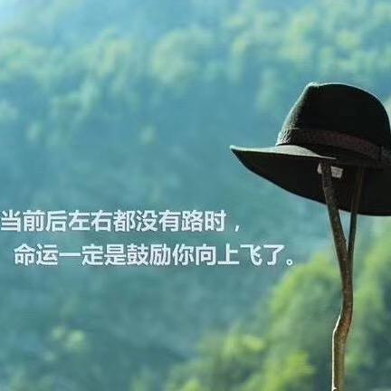 香水百合花