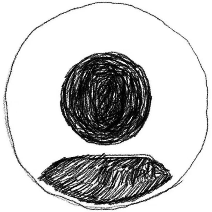 皮蛋•
