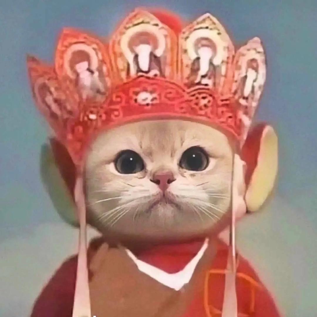 爱意随风起ᥫᩣ༠°