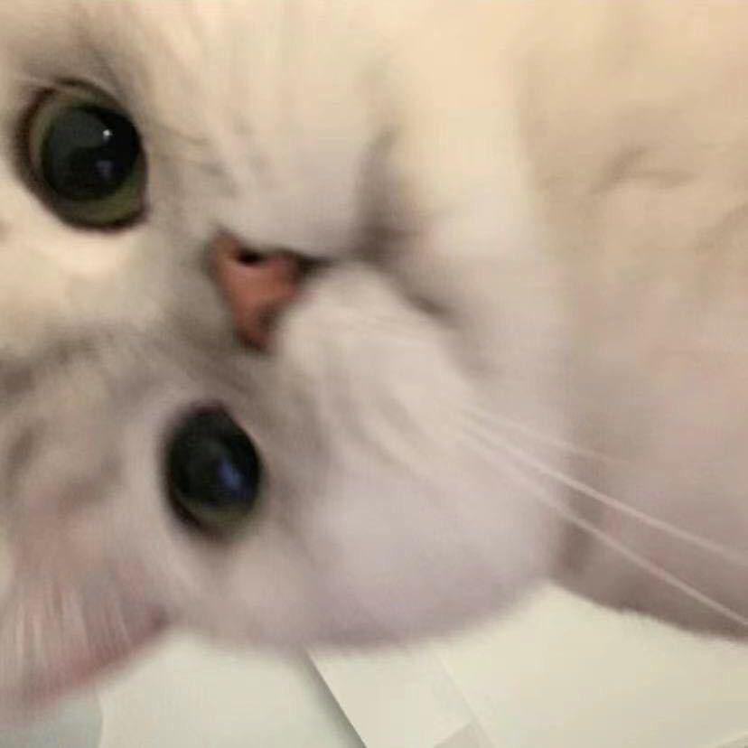 vven