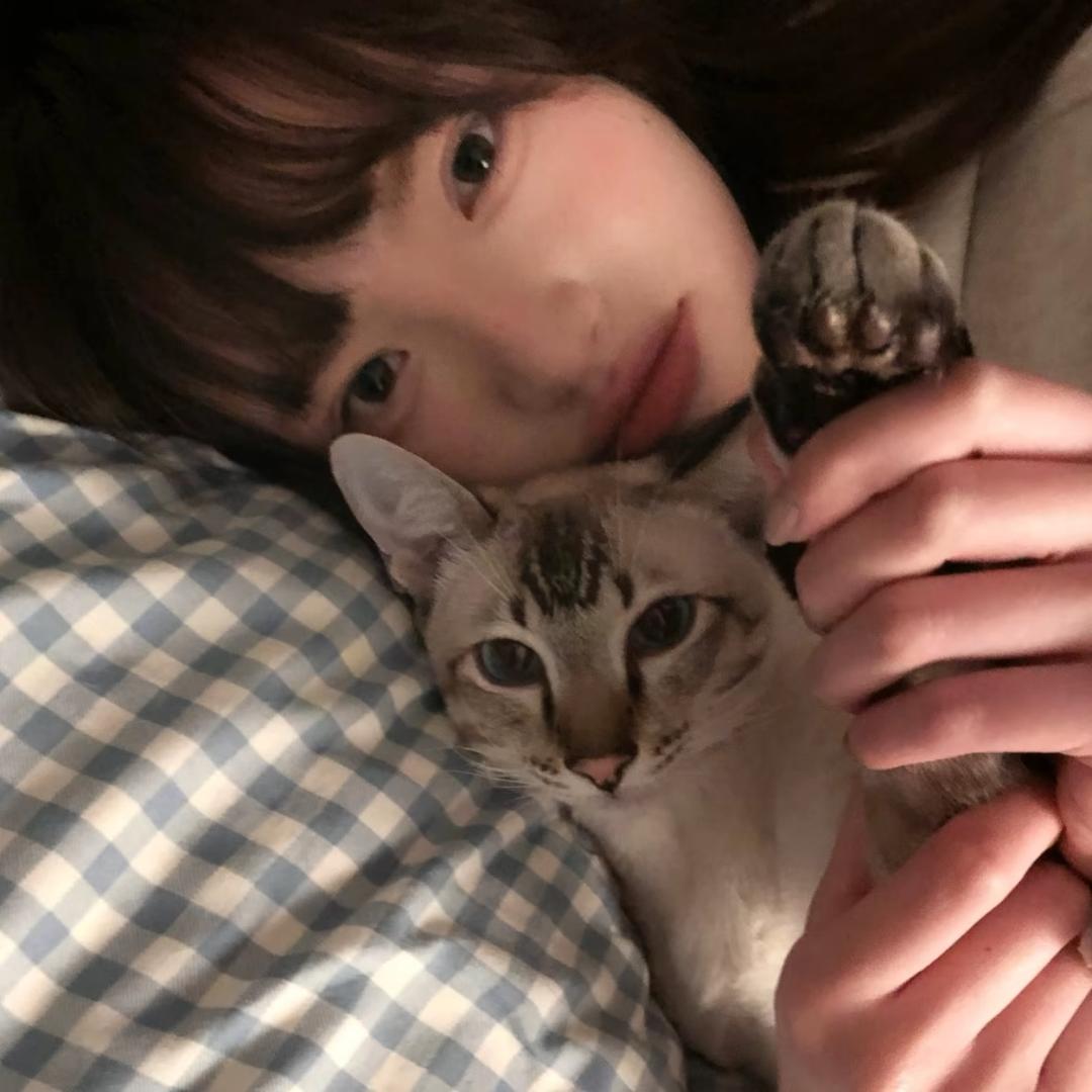 不吃葱姜蒜